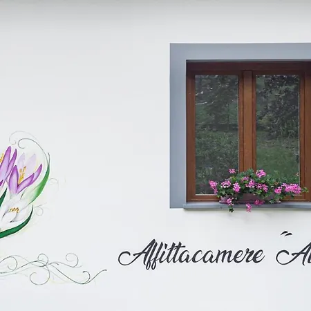 Ai Crocus 3*